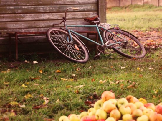 Näituse avamine: sõna saab ajakirja "Vaimupuu" keeletoimetaja Kerttu Rakke